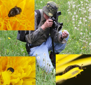 Poster5x1000.jpg
