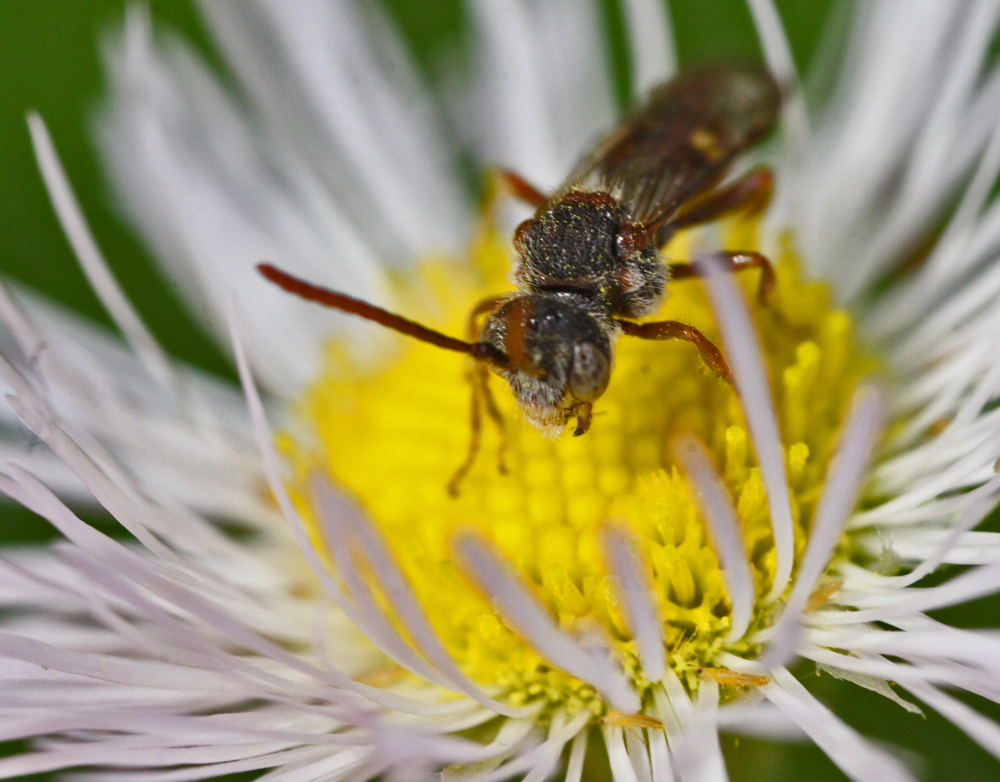 VERNONMARSH6122011MACROVJT310X1000X2.jpg